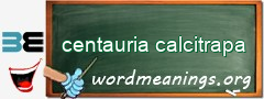 WordMeaning blackboard for centauria calcitrapa